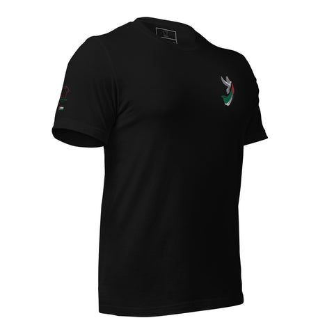 Palestine Fan Supporter Classic T-shirt